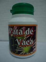 Pata de Vaca